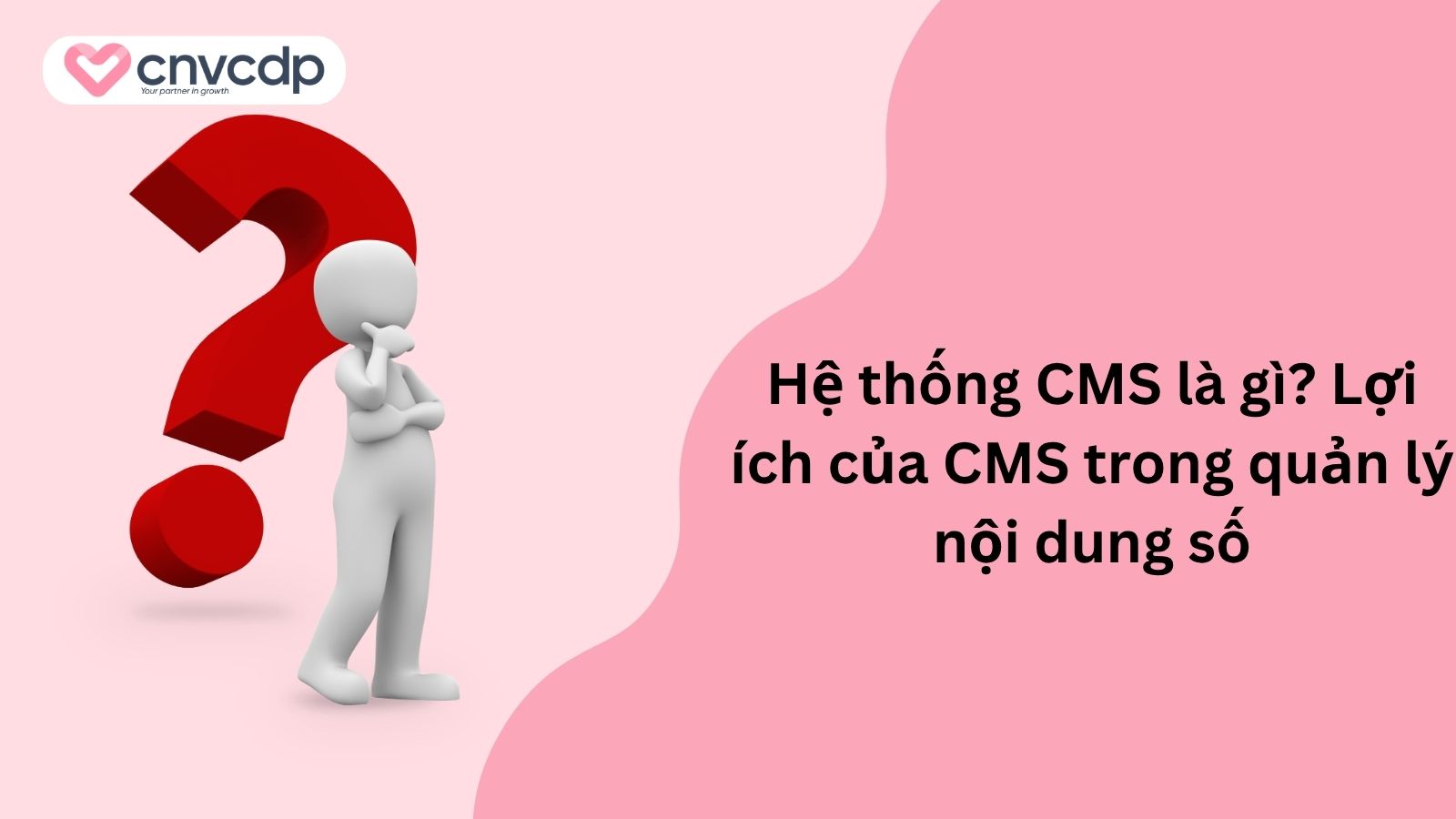 he thong cms la gi va loi ich