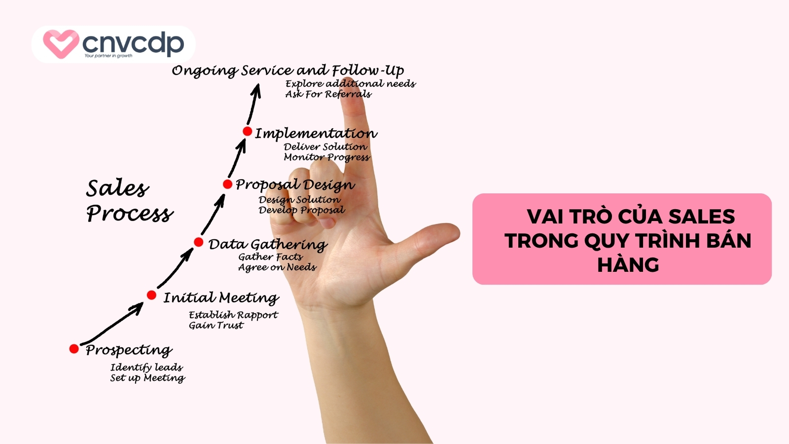 Vai trò của Sales trong quy trình bán hàng 