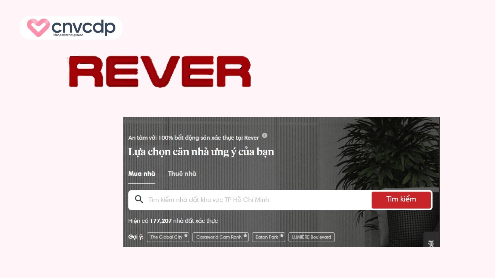 case study cua rever