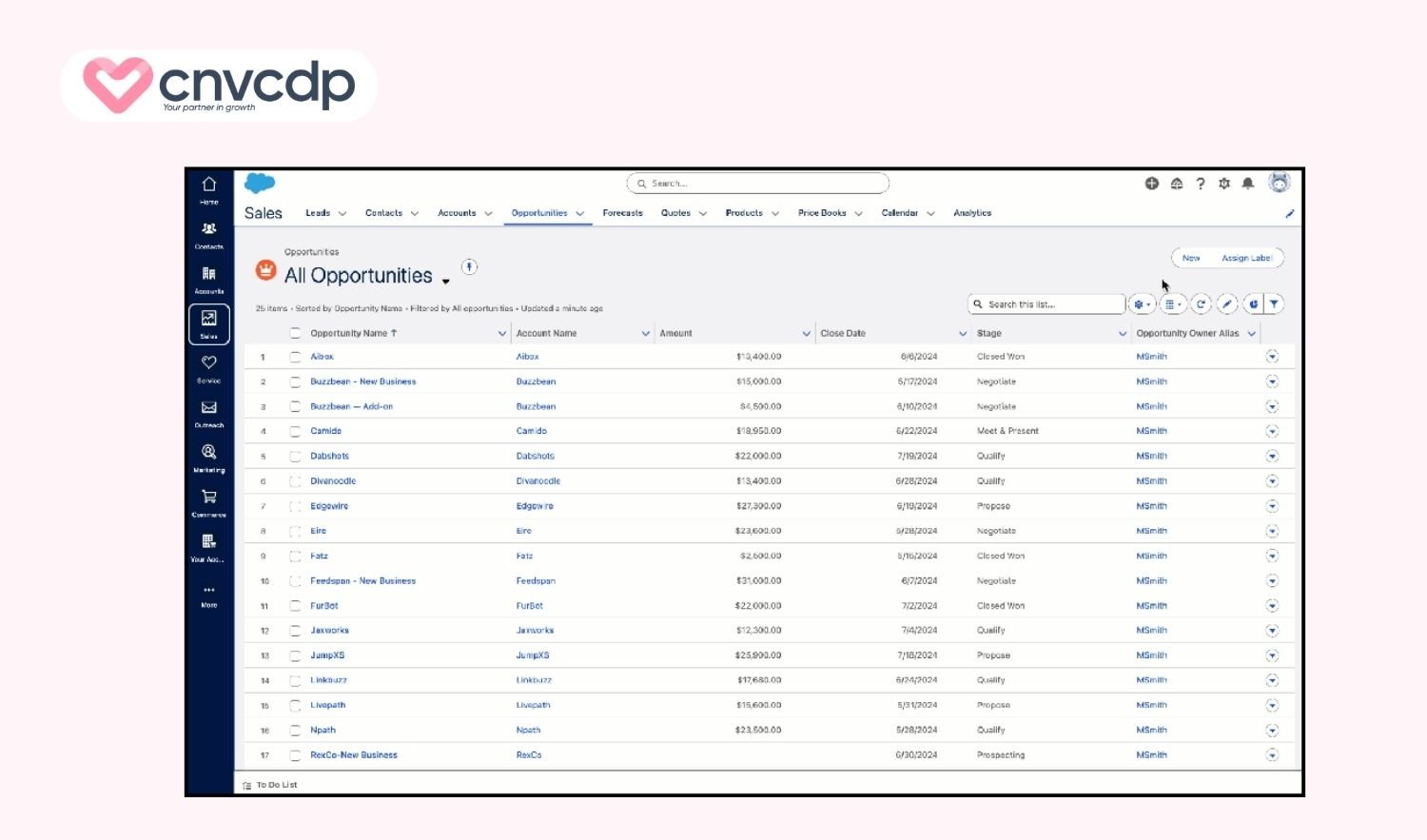 Salesforce CRM