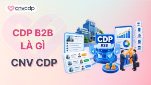 CDP B2B