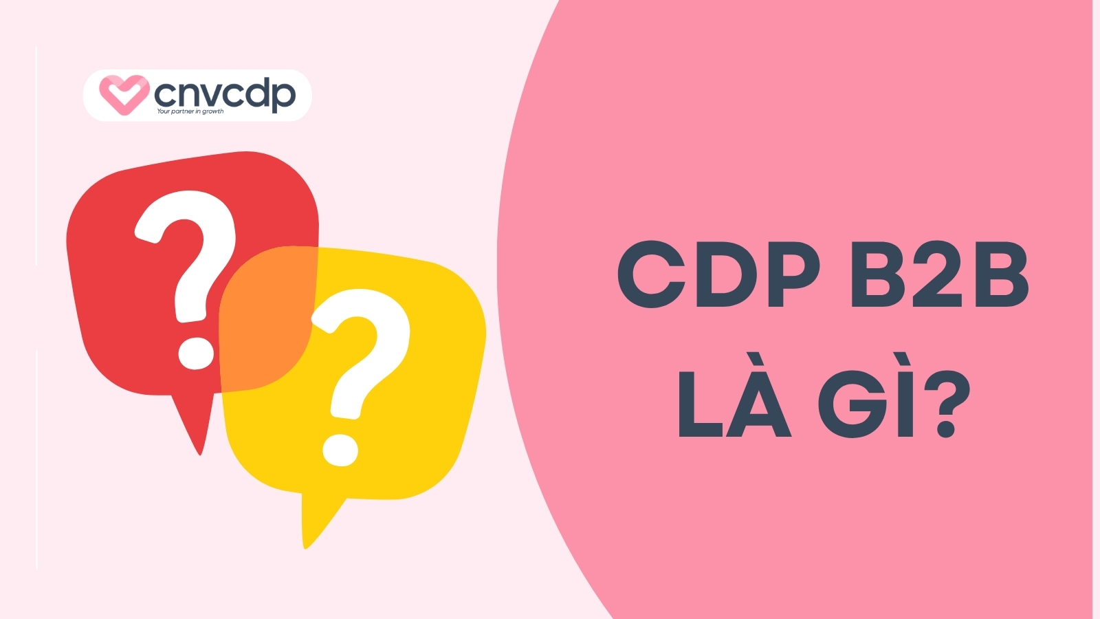 CDP B2B là gì