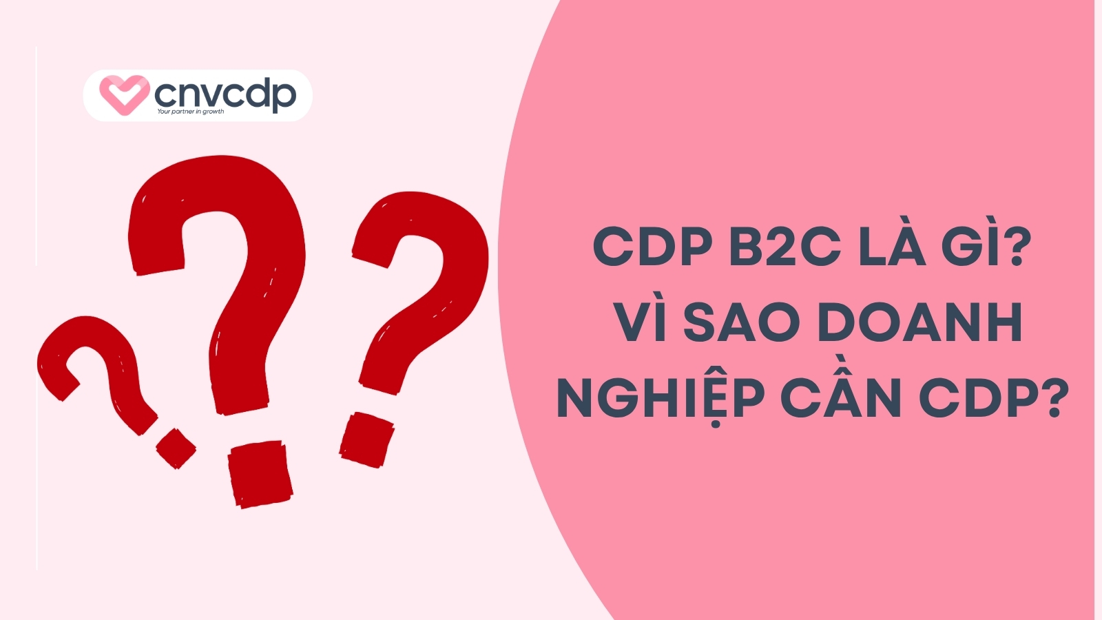 CDP B2C là gì? Vì sao doanh nghiệp cần CDP? 
