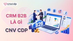 CRM B2B là gì