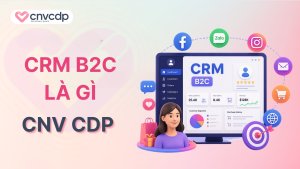 CRM B2C là gì