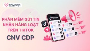 Phần mềm gửi tin nhắn hàng loạt trên TikTok
